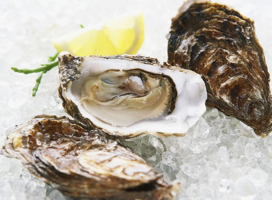 Польза устриц: вкусное удовольствие и здоровье